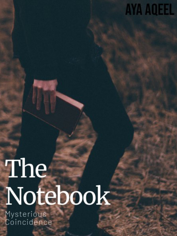 A story in a notebook Book