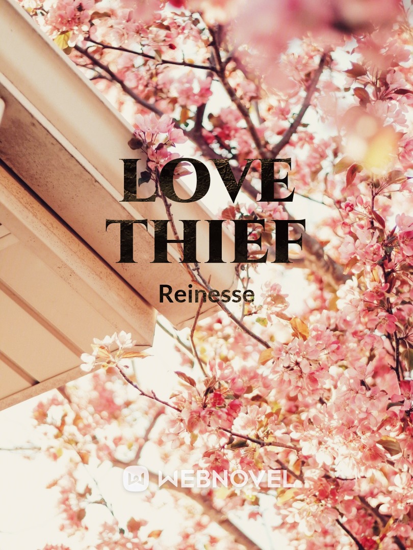Love Thief Book