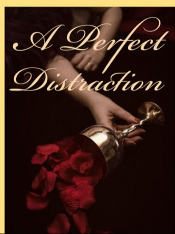 A Perfect distraction Book