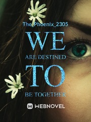 we are destined to be together Book