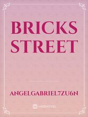 Bricks Street Book