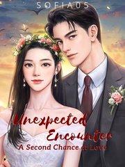 Unexpected Encounter: A Second Chance at Love Book