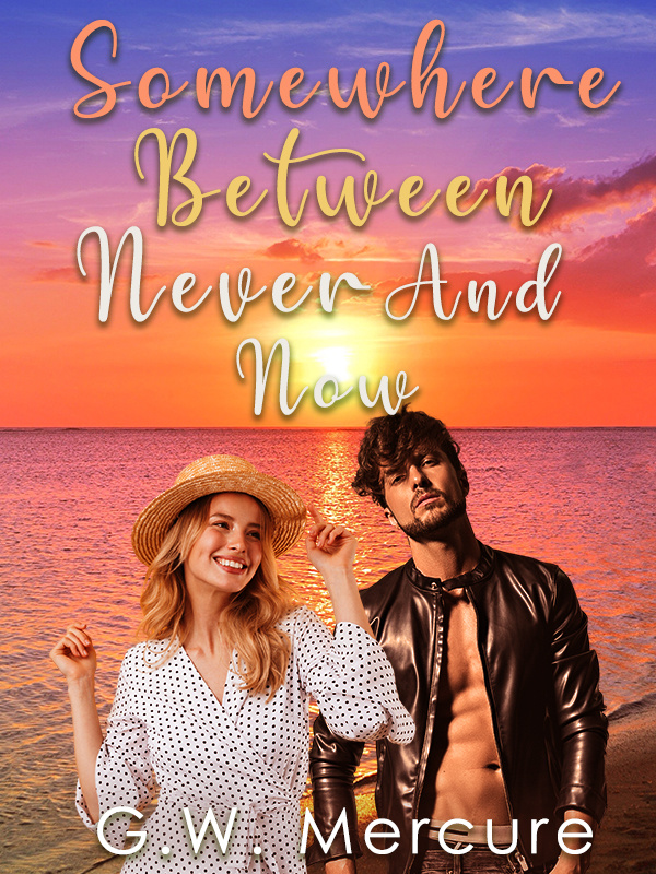 Somewhere Between Never and Now Book