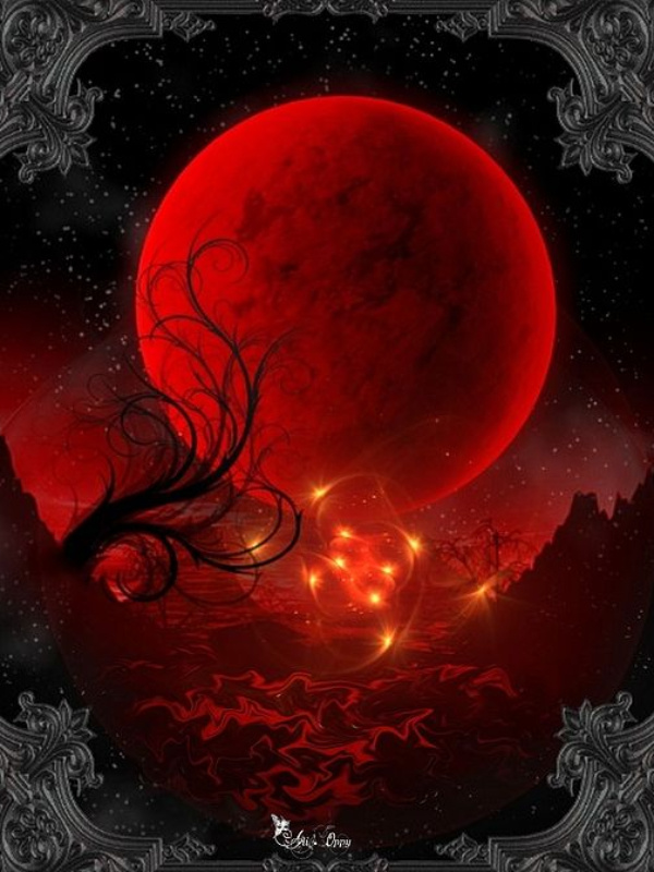 The Elf Born Under The Red Moon