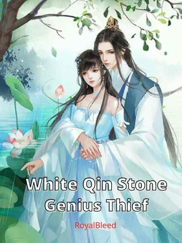 White Qin Stone Genius Thief Book