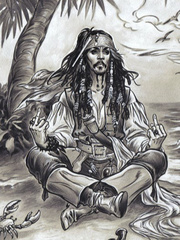 'The Pirate's inconvenience'(Pirates of the Caribbean fanfict) Book