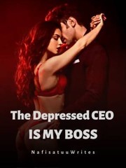 The Depressed CEO is my boss Book
