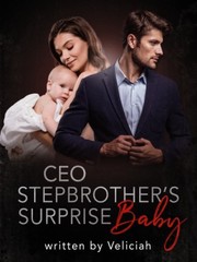 CEO Stepbrother’s Surprise Baby Book