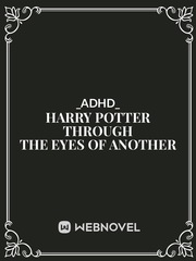 Harry Potter through the eyes off an other Book