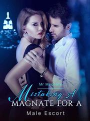 Mistaking a Magnate for a Male Escort Book