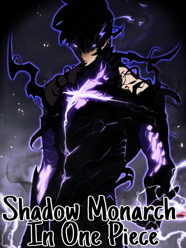 Shadow Monarch In One Piece Book