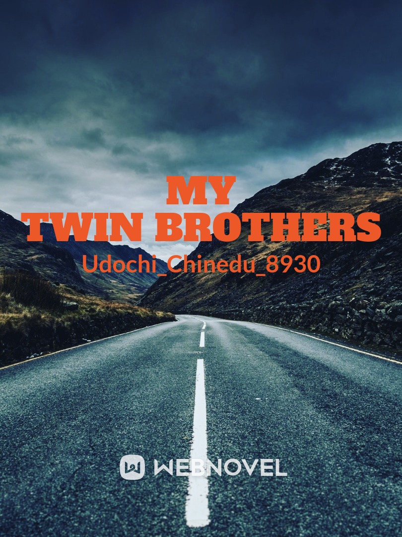 My Twin Brothers Book