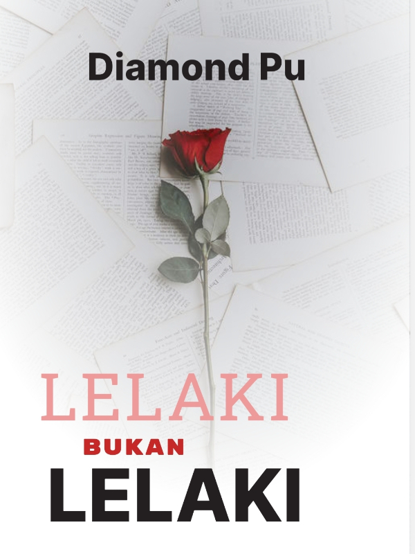 Lelaki Bukan Lelaki