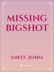 missing bigshot Book