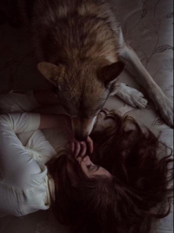 The Werewolf lover Book