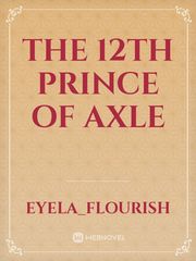 The 12th Prince Of Axle Book