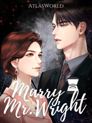 Marry Mr. Wright Book