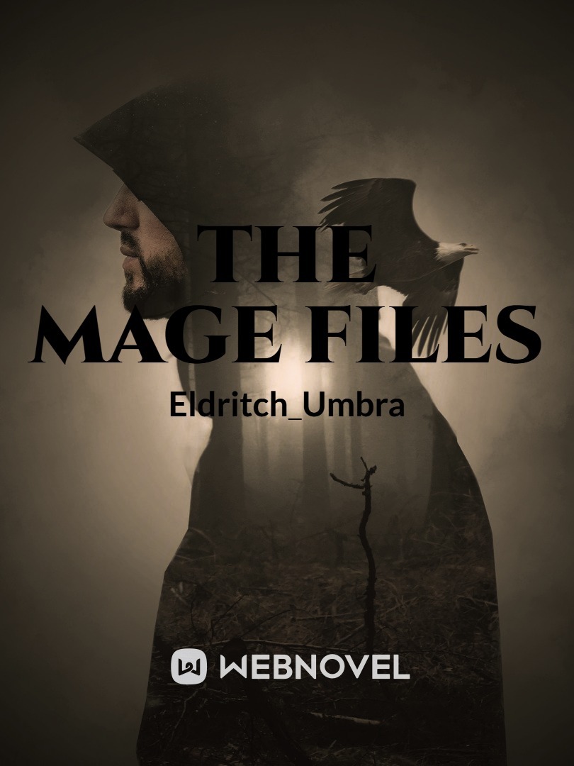 The Mage Files Book