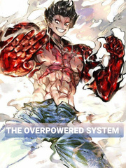 The Overpowered Sytem Book