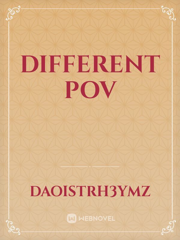 Different pov Book