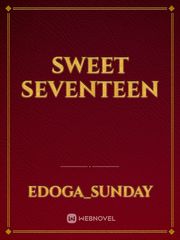 Sweet seventeen Book