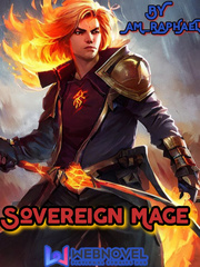 The Sovereign Mage Book