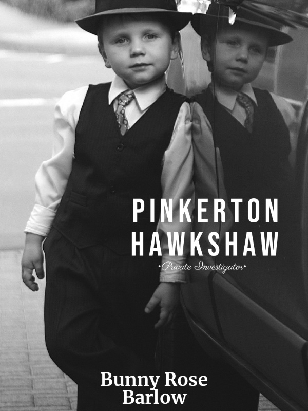 Pinkerton Hawkshaw - Private Investigator Book