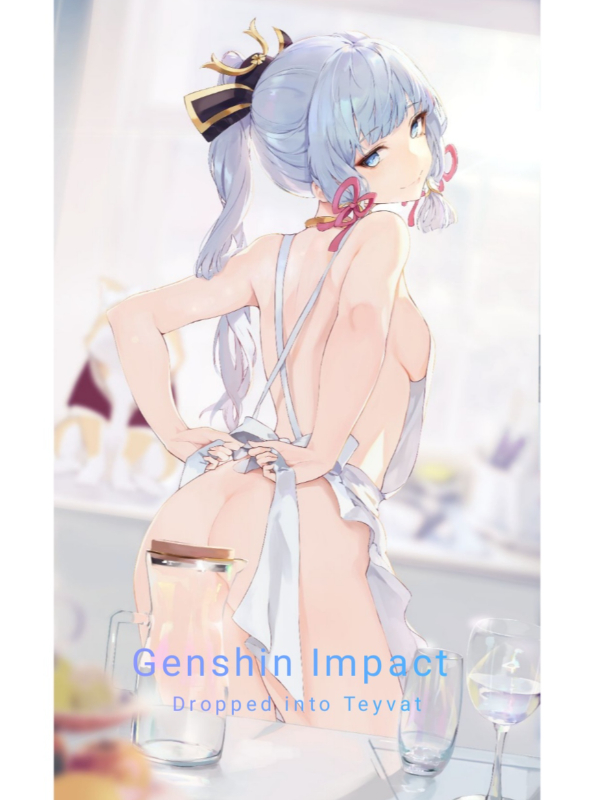 Genshin Impact: Dropped into Teyvat Book