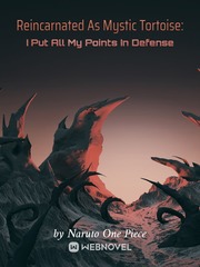 Reincarnated As Mystic Tortoise: I Put All My Points In Defense Book