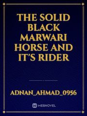 The Solid Black Marwari Horse and it's Rider Book