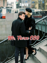 Mr. Fierce CEO Book