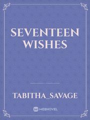 Seventeen wishes Book