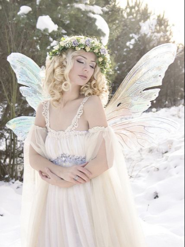 The Winter Fairy - (Moved to a New Link)