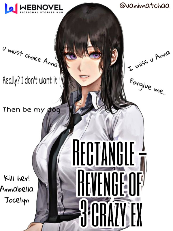 Rectangle -Revenge of 3 crazy ex Book