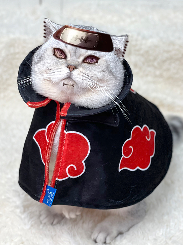 (MTL)Konoha’s Bully Ninja Cat