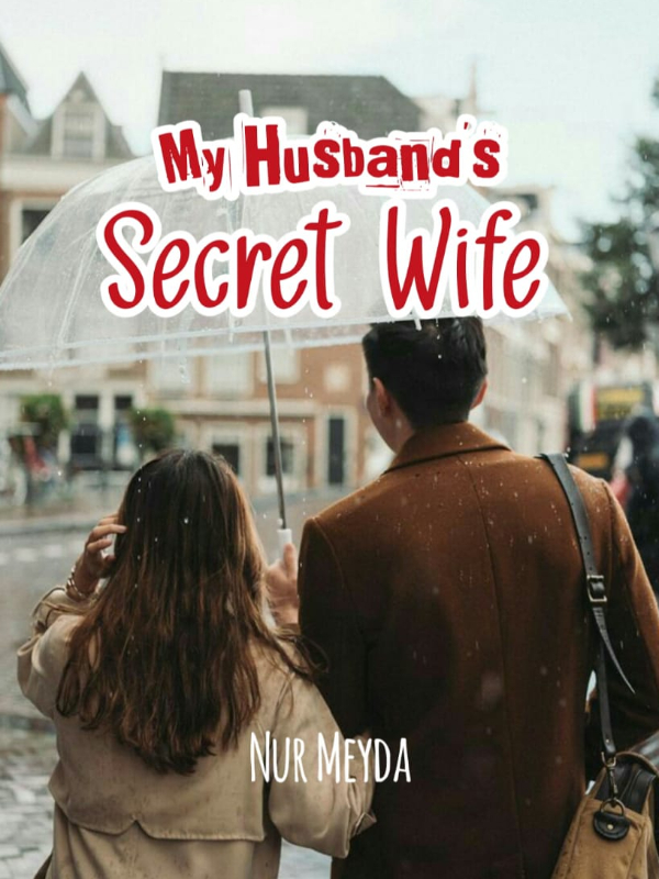 My Husband's Secret Wife Book