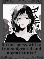 Do not mess with a transmigrated and angsty otaku! Book