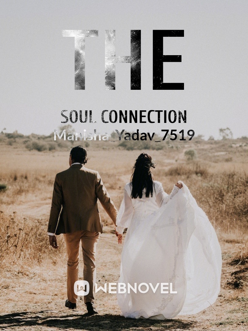The soul connection Book