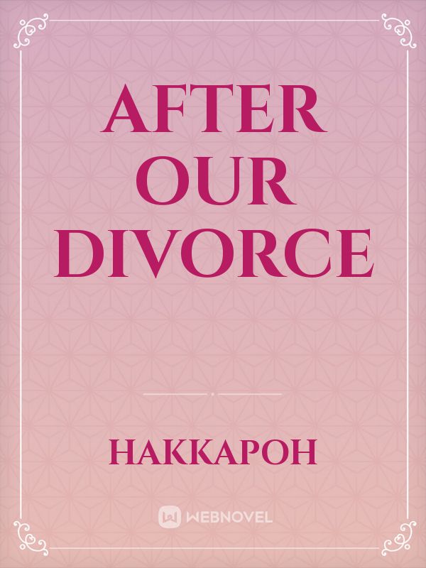 After Our Divorce Book