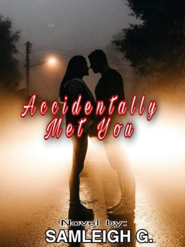 Accidentally, Met You Book