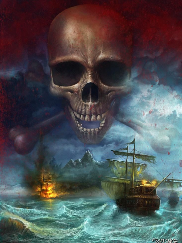 Pirate System Book