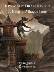 How Many Dragons Are Too Many for A Dragon Tamer Book