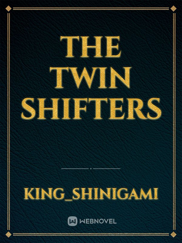 The Twin Shifters Book