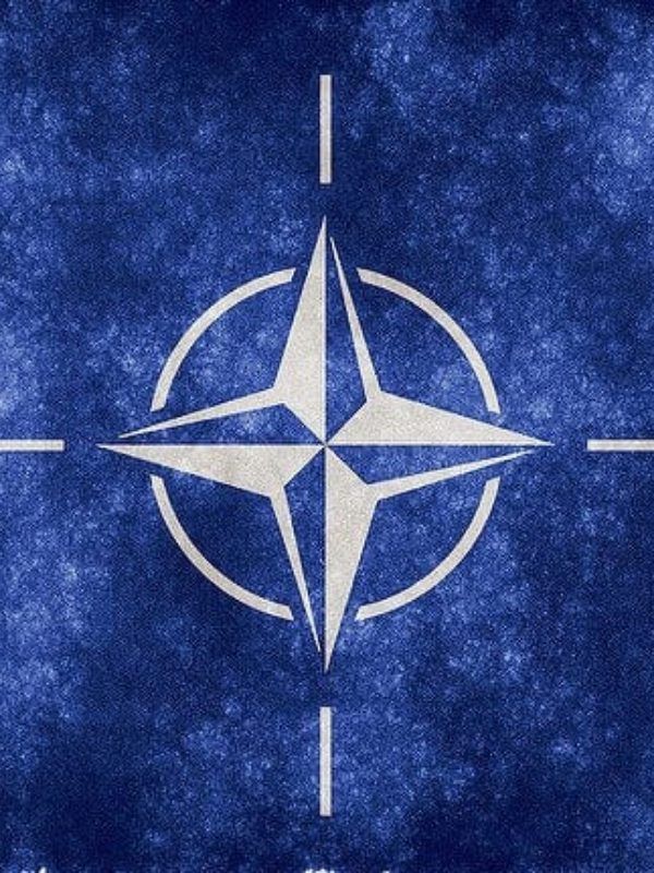 Summoning NATO Book
