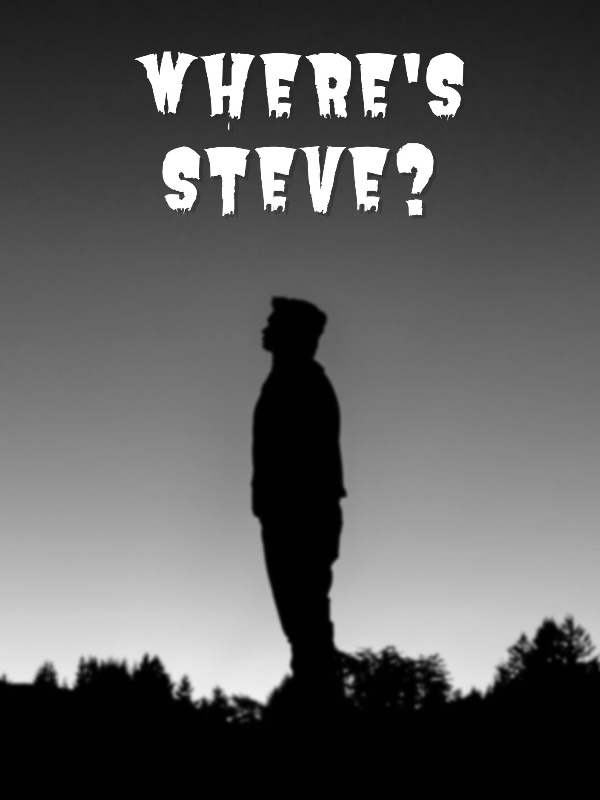 Where's Steve?? Book