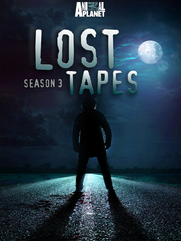Lost Tapes: Season 4 Book