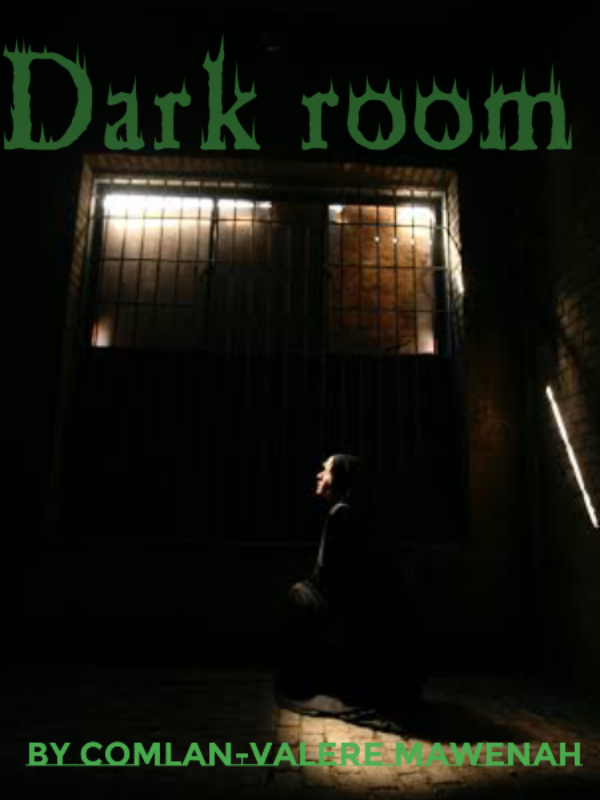 The Dark room by Comlan-Valere Mawenah Deborah