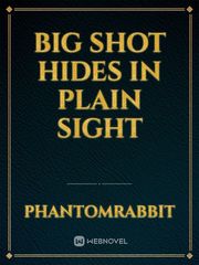 Big Shot Hides In Plain Sight Book