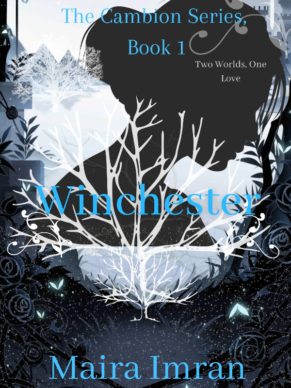 Winchester, Book 1 Book