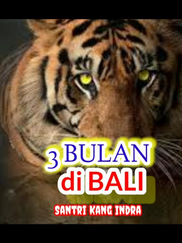 3 Bulan di BALI